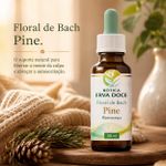 Floral de Bach Pine Remorso 30ml