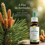 Floral de Bach Pine Remorso 30ml