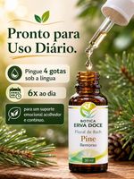 Floral de Bach Pine Remorso 30ml