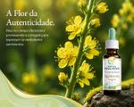 Floral de Bach Agrimony Alegria 30ml