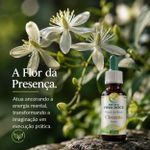 Floral de Bach Clematis Sonolência 30ml