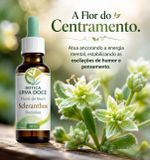 Floral de Bach Scleranthus Decisões 30ml