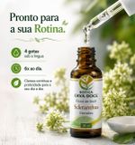 Floral de Bach Scleranthus Decisões 30ml