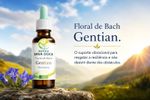 Floral de Bach Gentian Otimismo 30ml