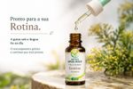 Floral de Bach Gentian Otimismo 30ml