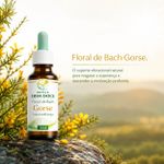 Floral de Bach Gorse Autoconfiança 30ml