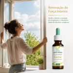 Floral de Bach Gorse Autoconfiança 30ml