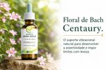 Floral de Bach Centaury Determinação 30ml