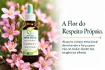 Floral de Bach Centaury Determinação 30ml