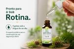 Floral de Bach Larch Autoconfiança 30ml