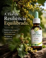Floral de Bach Oak Teimosia 30ml
