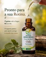 Floral de Bach Oak Teimosia 30ml
