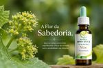 Floral de Bach Vine Autoridade 30ml