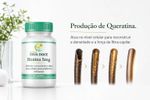 Biotina 5mg 30 cápsulas