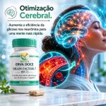 Brain Factor 7 BF-7 200mg Combustível da Inteligência 30 cps