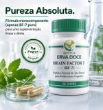 Brain Factor 7 BF-7 200mg Combustível da Inteligência 30 cps