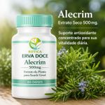 Alecrim 500mg 60 doses