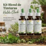 Kit Tintura Desparasitação Hulda Clark – Tratamento Completo 3 Frascos 30mL