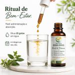 Kit Tintura Desparasitação Hulda Clark – Tratamento Completo 3 Frascos 30mL