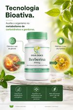 Berberina 500mg 60 cápsulas