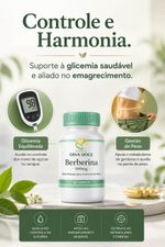 Berberina 500mg 60 cápsulas