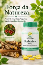 Berberina 500mg 60 cápsulas