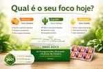 Kit Boa Forma Morosil 500mg Cactin 500mg Dimpless 40mg 30 Doses