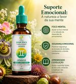 Floral de Bach Signos Gêmeos - Foco e Clareza Mental 30ml