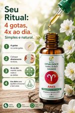 Floral de Bach Signos Áries -  Equilíbrio e Paciência 30ml