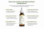 Floral de Bach Signos Áries -  Equilíbrio e Paciência 30ml