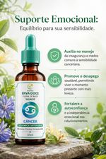 Floral de Bach Signos Câncer - Segurança e Autonomia 30 ml