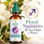 Floral de Bach Signos Sagitário - Pé no Chão e Foco 30 ml