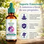 Floral de Bach Signos Sagitário - Pé no Chão e Foco 30 ml
