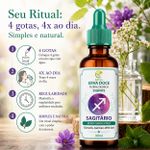 Floral de Bach Signos Sagitário - Pé no Chão e Foco 30 ml