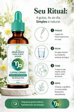 Floral de Bach Signos Capricórnio -  Leveza e Autocuidado 30 ml
