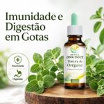 Tintura de Oregano 100ml
