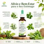 Tintura Espinheira Santa, Boldo, Guaçatonga e Hortelã 100ml