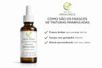 Blend de Tinturas para Rins  Cavalinha e Dente-de-Leão 100ml