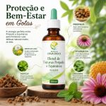 Blend de Tinturas Própolis e Equinácea Imunidade 100ml