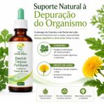 Blend de Tinturas Purificante – Coentro e Dente-de-Leão 100ml