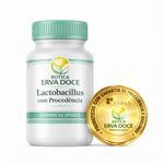  Lactobacillus Gasseri 5 Bilhões UFC –  60 Doses