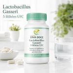  Lactobacillus Gasseri 5 Bilhões UFC –  60 Doses