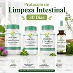 Protocolo de Limpeza e Purificação Natural 30 Dias