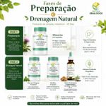 Protocolo de Limpeza e Purificação Natural 30 Dias