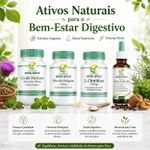 Protocolo de Limpeza e Purificação Natural 30 Dias