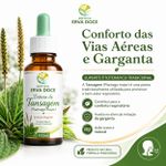 Tintura de Tansagem (Plantago major) – Extrato Vegetal 100ml