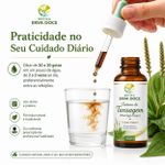 Tintura de Tansagem (Plantago major) – Extrato Vegetal 100ml