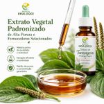 Tintura de Tansagem (Plantago major) – Extrato Vegetal 100ml
