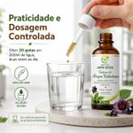 Tintura de Belladonna (Atropa belladonna) – 100ml