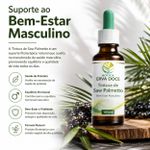 Tintura de Saw Palmetto (Serenoa repens) – 100ml